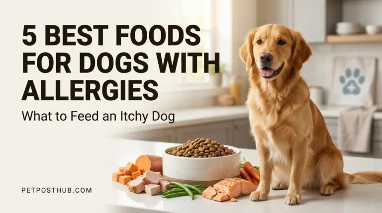 Foods for Dogs