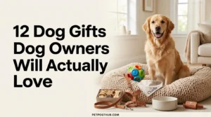 Dog & Home Living