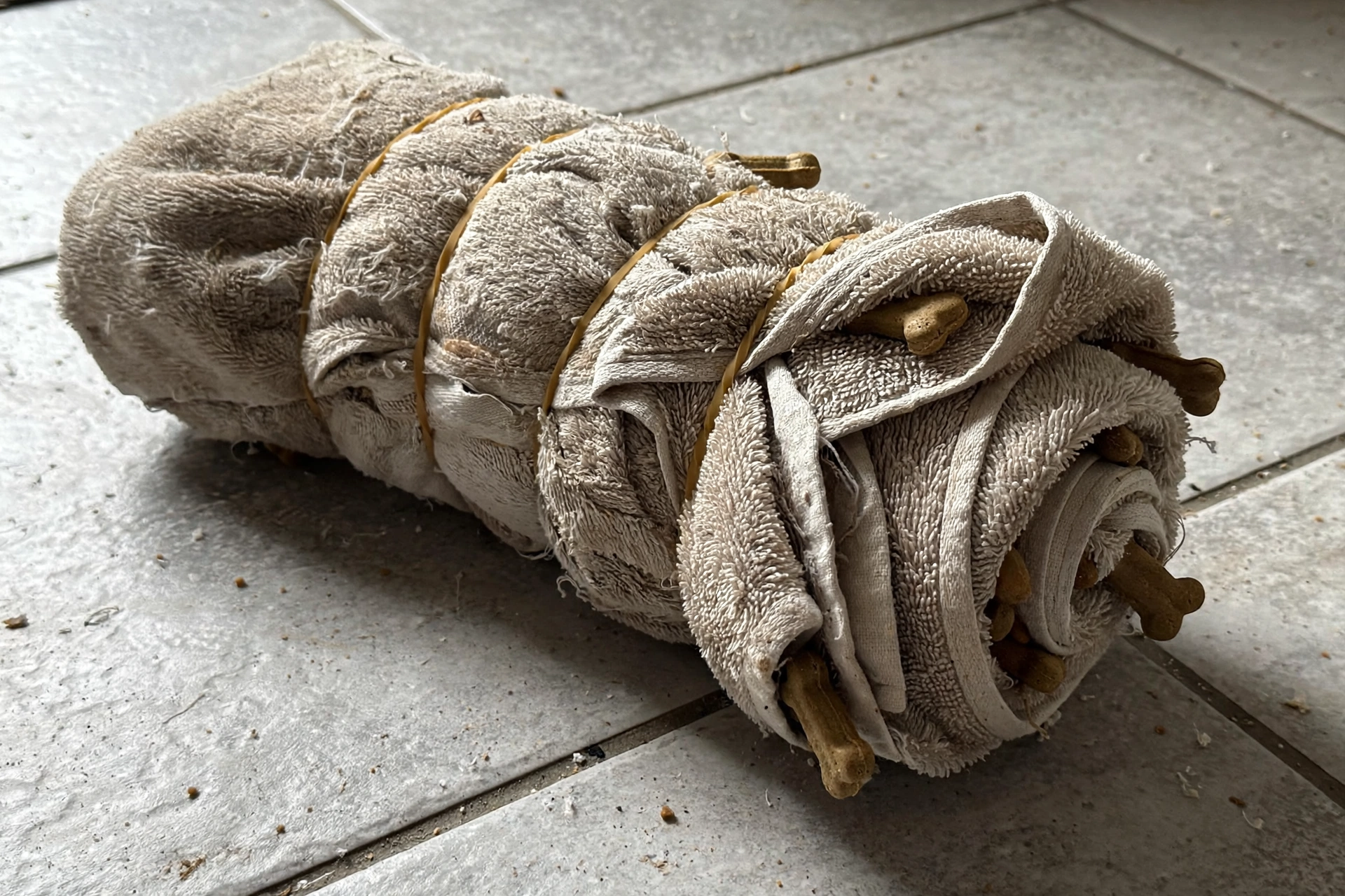 Rolled bath towel with dog treats tucked in the folds used as a snuffle toy